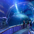 Discover the Best Family-Friendly Zoos and Aquariums in Southern California
